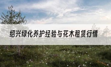 绍兴绿化养护经验与花木租赁行情