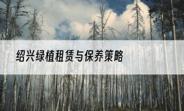 绍兴绿植租赁与保养策略