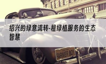 绍兴的绿意流转-租绿植服务的生态智慧