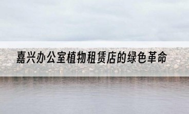 嘉兴办公室植物租赁店的绿色革命