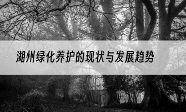 湖州绿化养护的现状与发展趋势