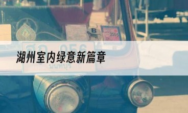 湖州室内绿意新篇章