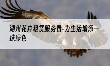 湖州花卉租赁服务费-为生活增添一抹绿色