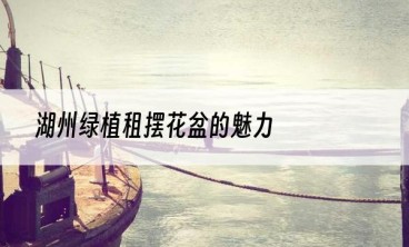 湖州绿植租摆花盆的魅力