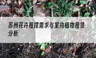 苏州花卉租摆需求与室内植物租赁分析
