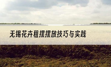 无锡花卉租摆摆放技巧与实践