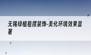 无锡绿植租摆装饰-美化环境效果显著