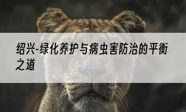 绍兴-绿化养护与病虫害防治的平衡之道