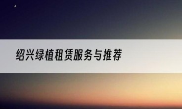 绍兴绿植租赁服务与推荐
