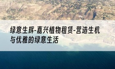 绿意生辉-嘉兴植物租赁-营造生机与优雅的绿意生活