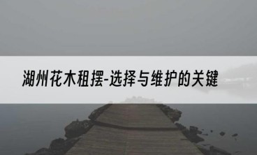 湖州花木租摆-选择与维护的关键