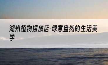 湖州植物摆放店-绿意盎然的生活美学
