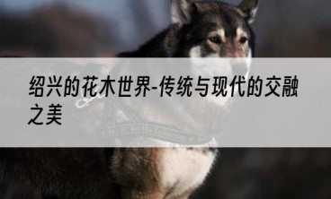 绍兴的花木世界-传统与现代的交融之美