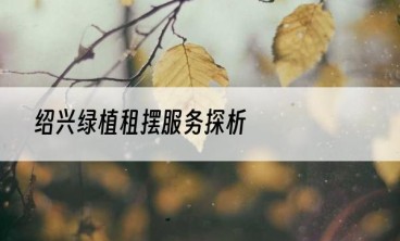 绍兴绿植租摆服务探析