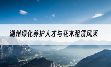 湖州绿化养护人才与花木租赁风采