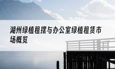 湖州绿植租摆与办公室绿植租赁市场概览