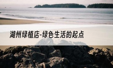 湖州绿植店-绿色生活的起点