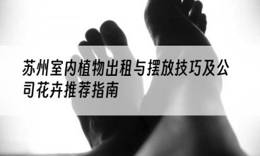 苏州室内植物出租与摆放技巧及公司花卉推荐指南
