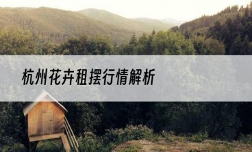 杭州花卉租摆行情解析