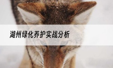 湖州绿化养护实战分析