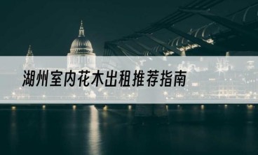 湖州室内花木出租推荐指南