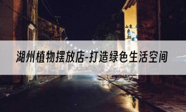 湖州植物摆放店-打造绿色生活空间