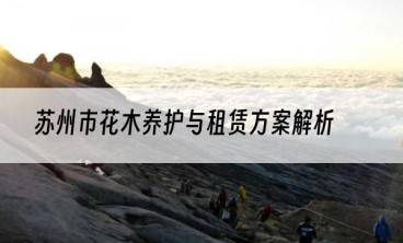 苏州市花木养护与租赁方案解析