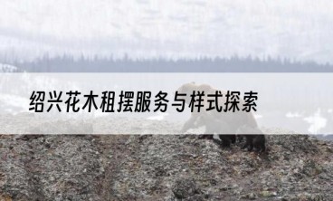 绍兴花木租摆服务与样式探索