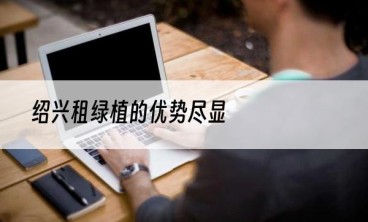 绍兴租绿植的优势尽显