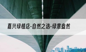 嘉兴绿植店-自然之选-绿意盎然