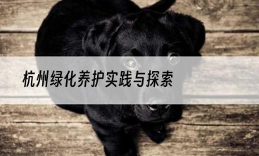 杭州绿化养护实践与探索