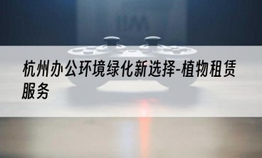 杭州办公环境绿化新选择-植物租赁服务