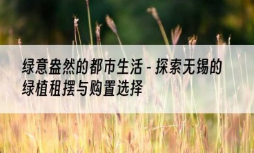 绿意盎然的都市生活 - 探索无锡的绿植租摆与购置选择