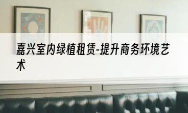 嘉兴室内绿植租赁-提升商务环境艺术
