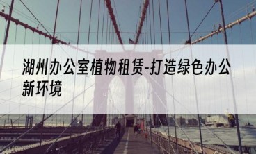 湖州办公室植物租赁-打造绿色办公新环境