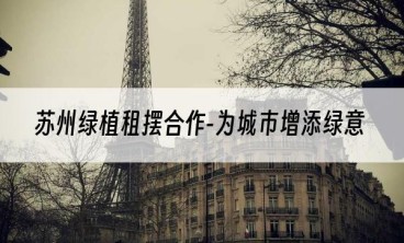 苏州绿植租摆合作-为城市增添绿意