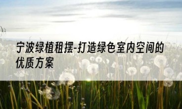 宁波绿植租摆-打造绿色室内空间的优质方案
