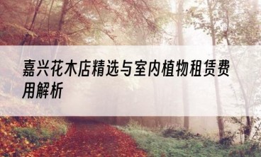 嘉兴花木店精选与室内植物租赁费用解析