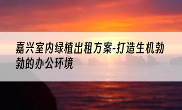 嘉兴室内绿植出租方案-打造生机勃勃的办公环境