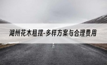 湖州花木租摆-多样方案与合理费用
