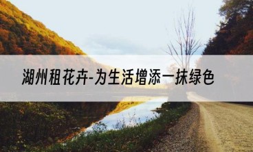 湖州租花卉-为生活增添一抹绿色