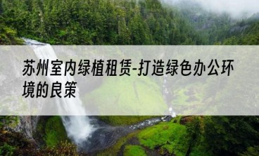 苏州室内绿植租赁-打造绿色办公环境的良策