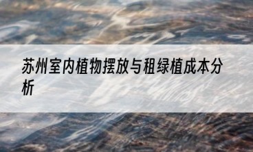 苏州室内植物摆放与租绿植成本分析