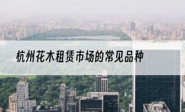 杭州花木租赁市场的常见品种