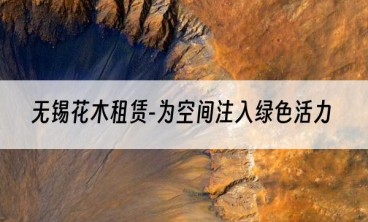 无锡花木租赁-为空间注入绿色活力