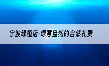 宁波绿植店-绿意盎然的自然礼赞