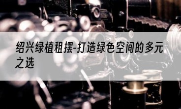 绍兴绿植租摆-打造绿色空间的多元之选