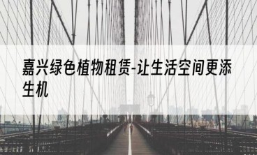 嘉兴绿色植物租赁-让生活空间更添生机