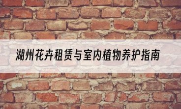 湖州花卉租赁与室内植物养护指南