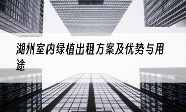 湖州室内绿植出租方案及优势与用途
